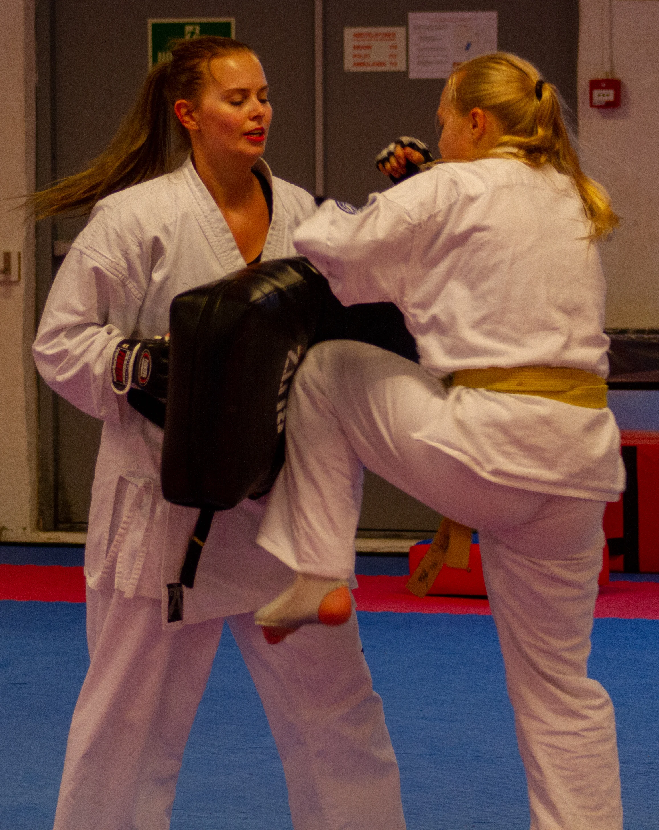 IMG_8327.jpg