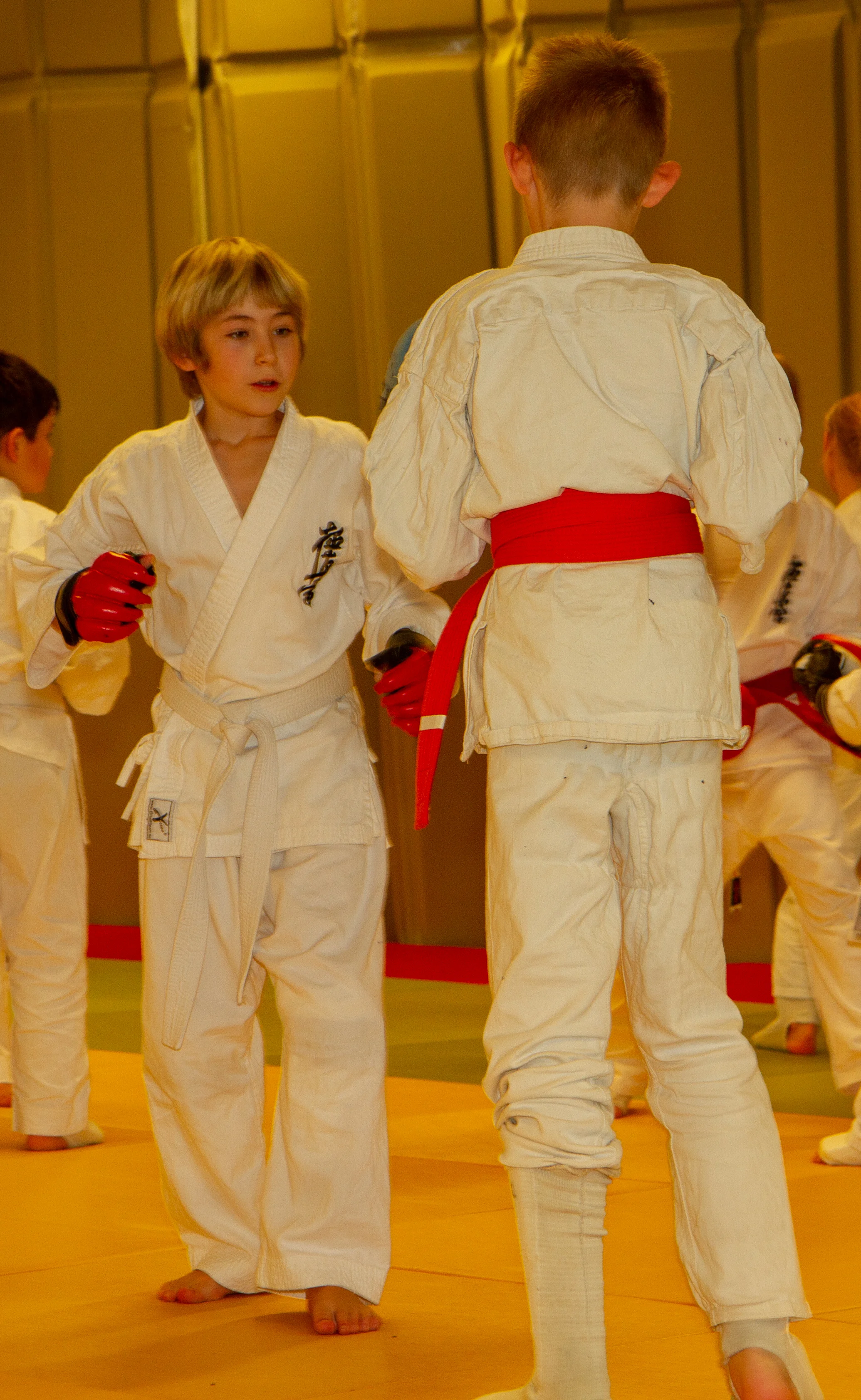 IMG_8535.jpg