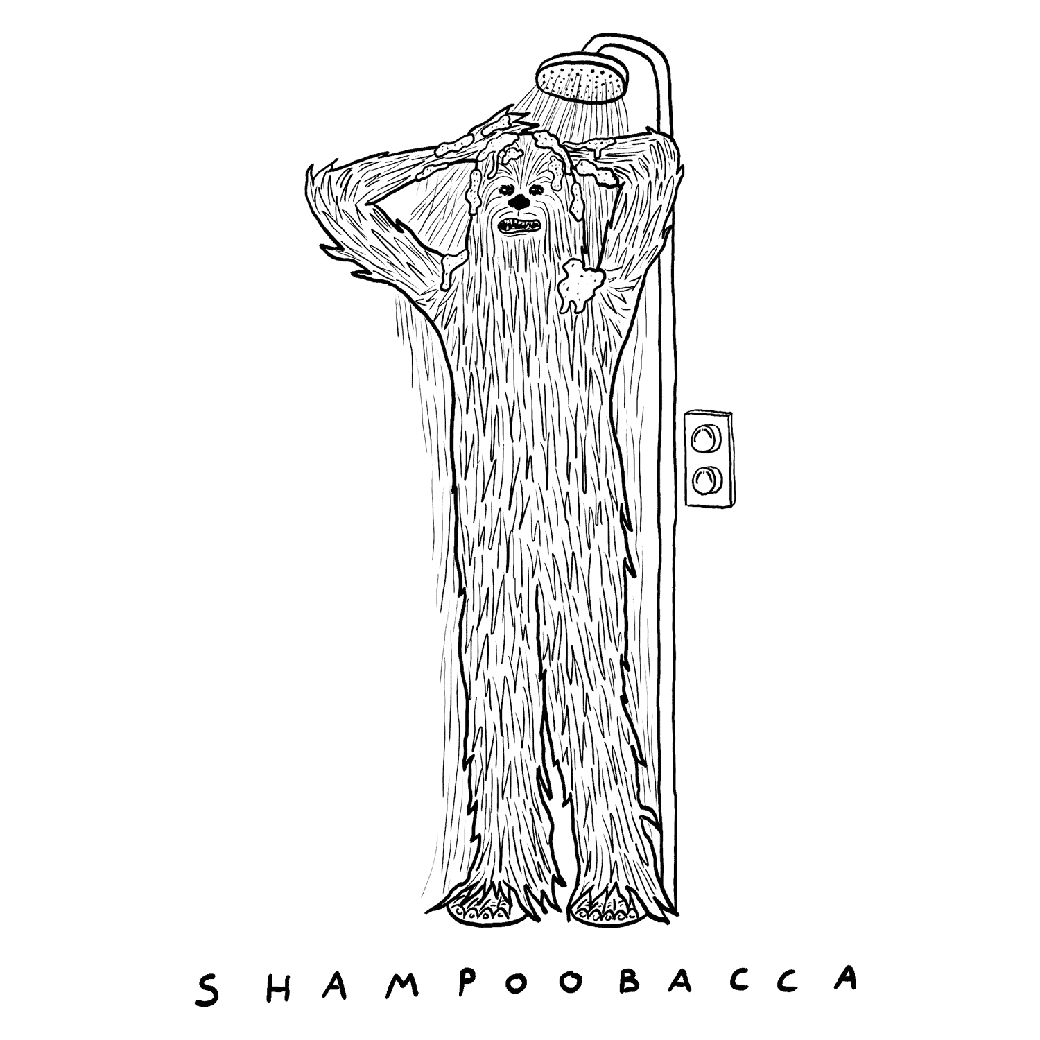 drewbacca4.gif