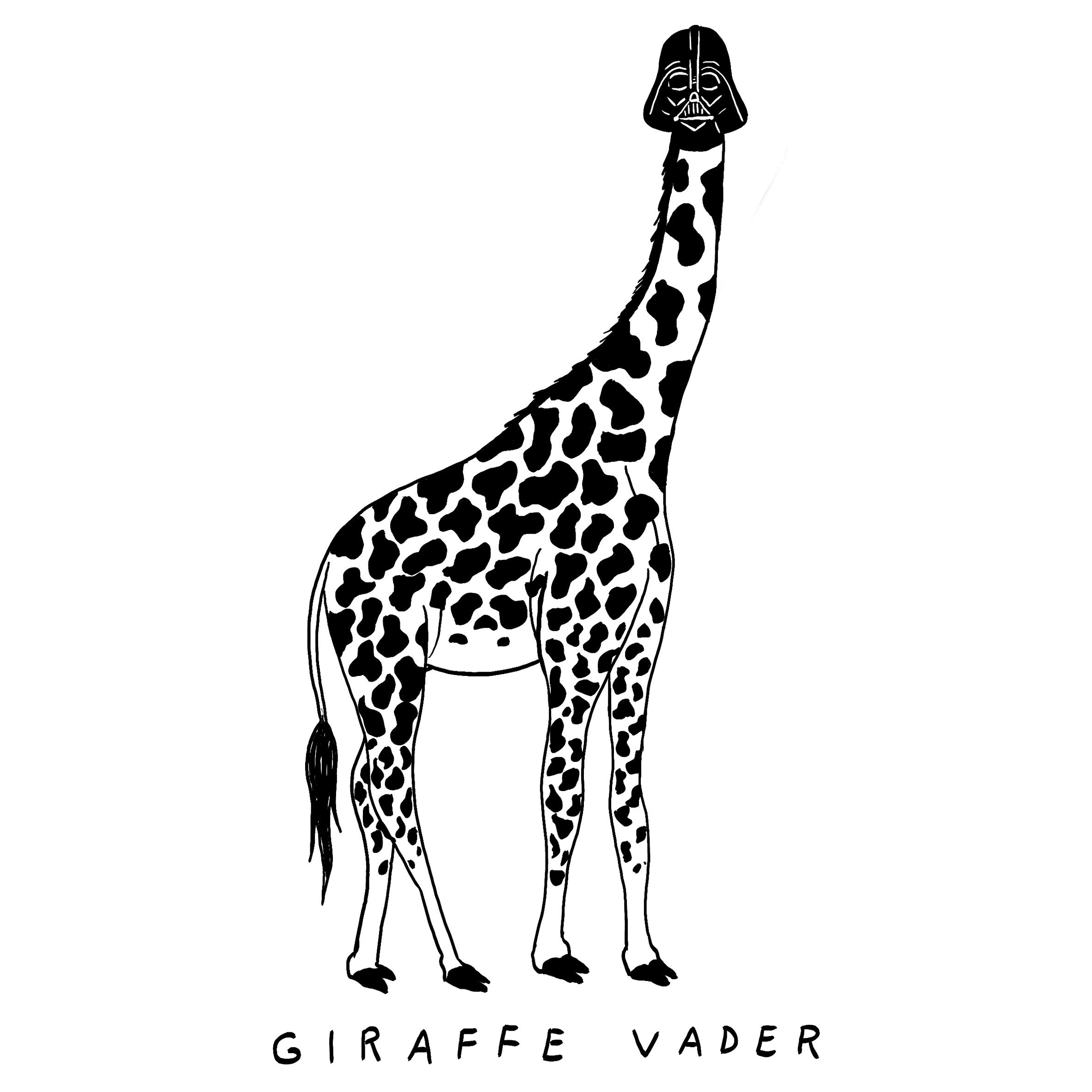 vader4.gif
