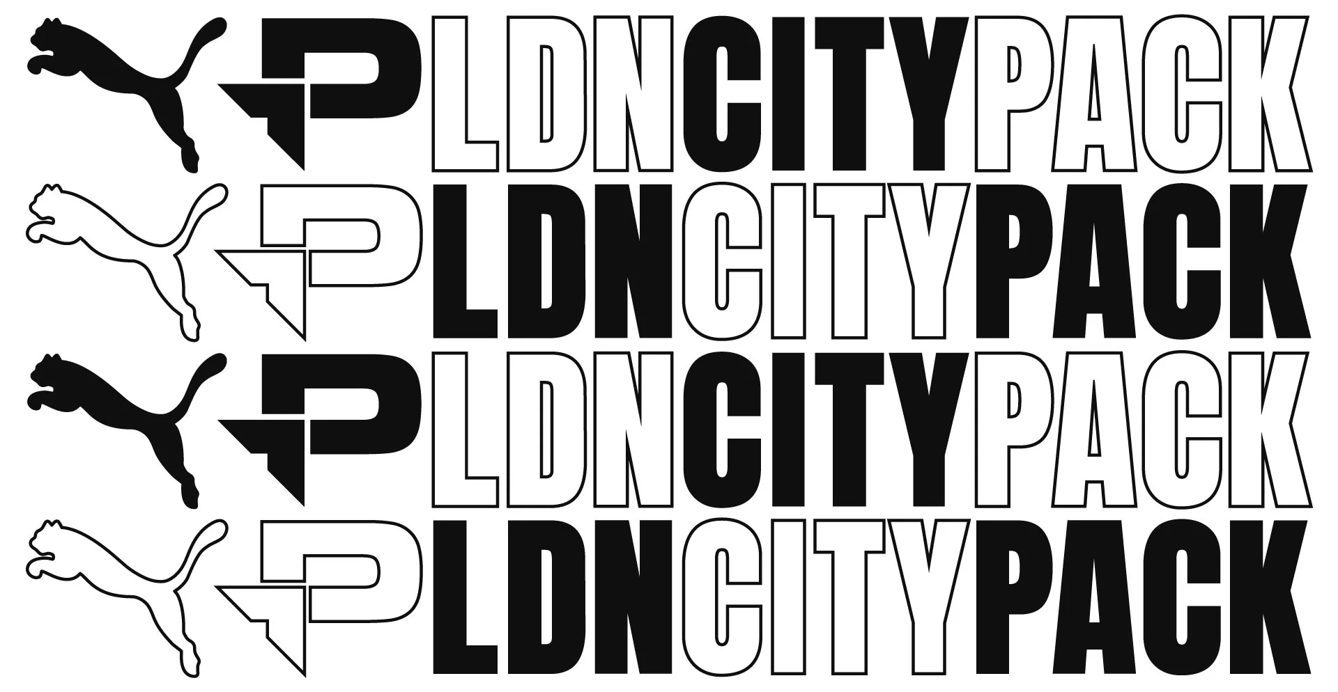 Puma_CityPack_logo.jpg