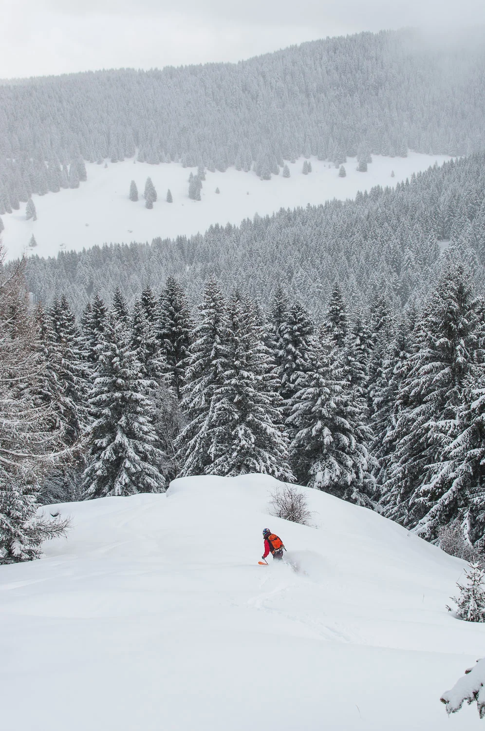 telemark_4.jpg