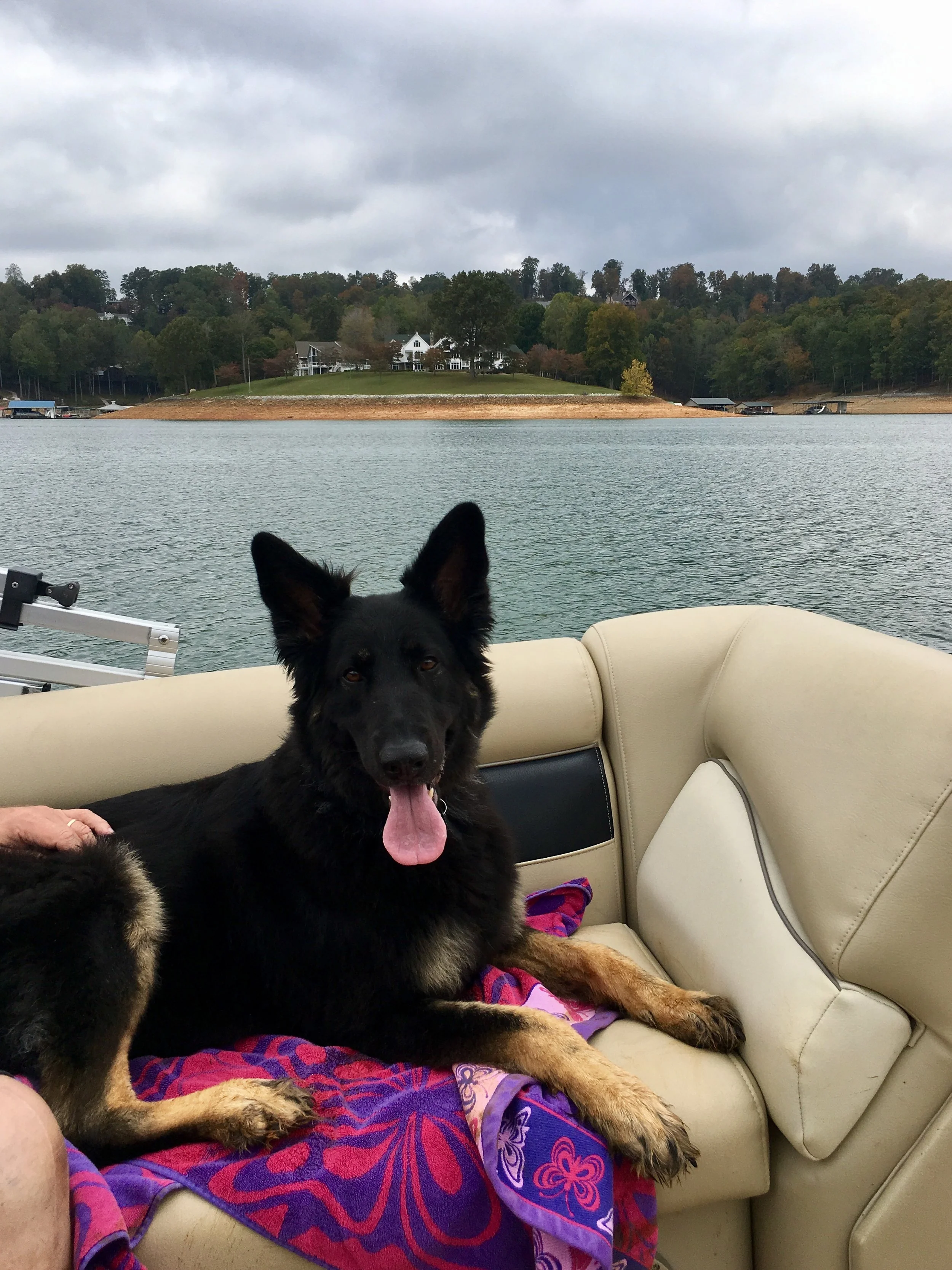 "Cujo" Kona