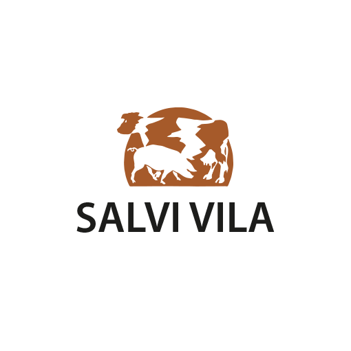 Salvi_Vila.png