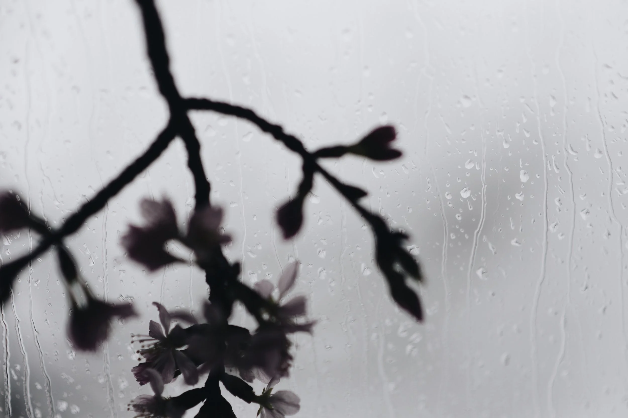 C1F9F6BA-895A-4530-811F-57CA9D699ED1.jpeg