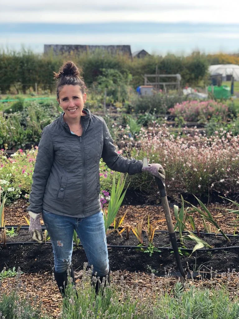HoweFarmFlowers_inflowerfield.jpg