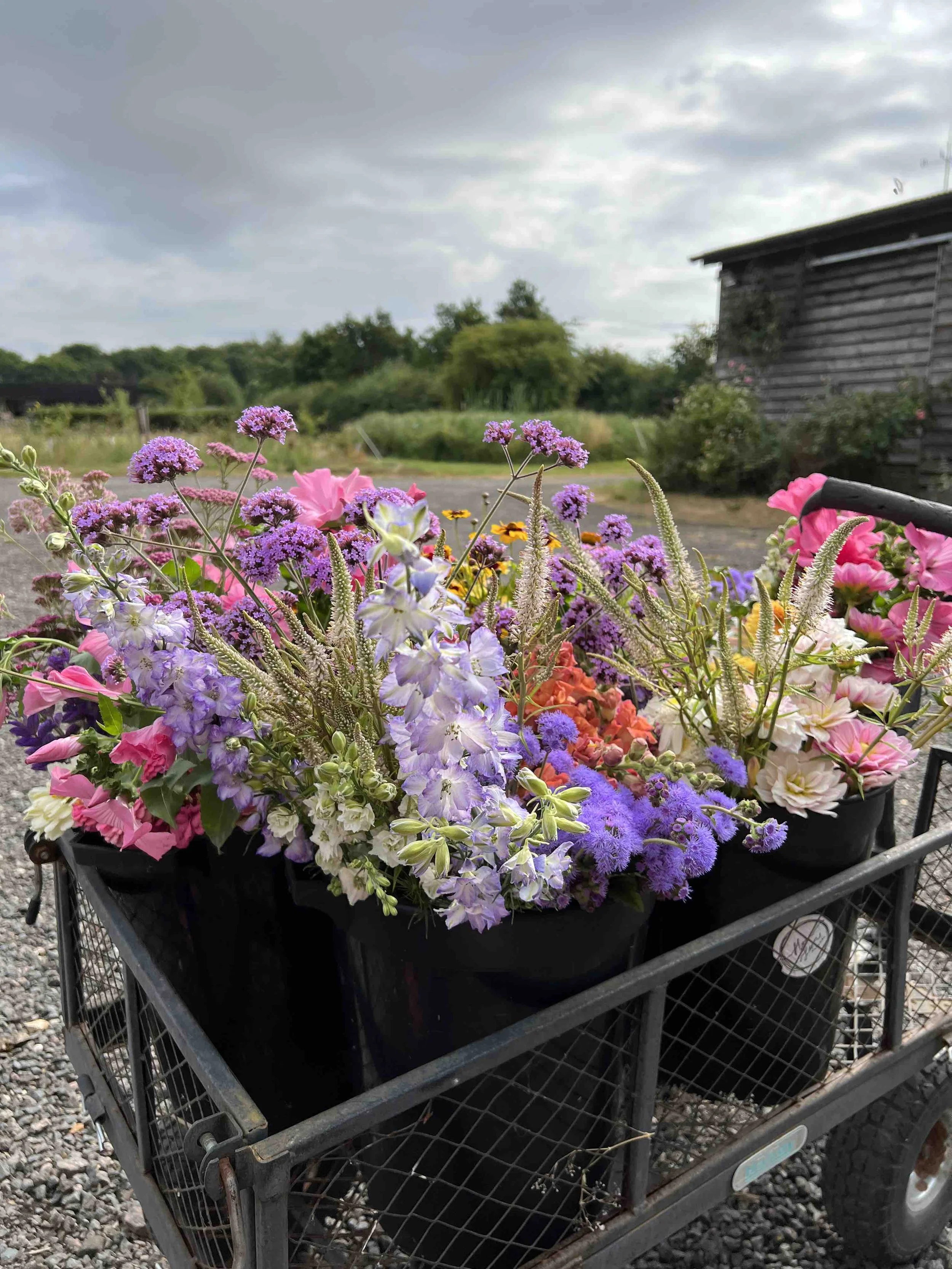 DIY Buckets 2.jpg