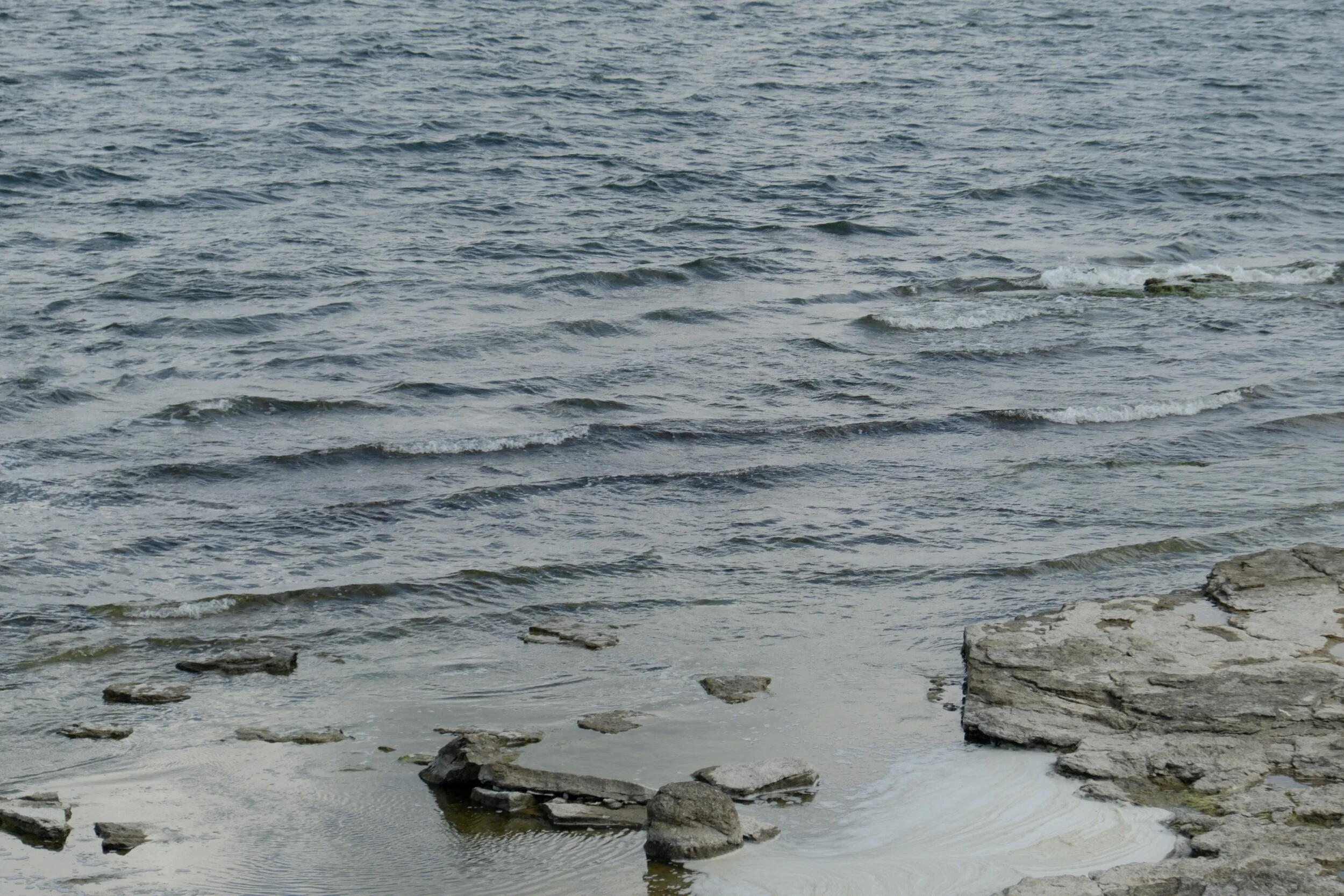 20190803-_DSF7669.jpg
