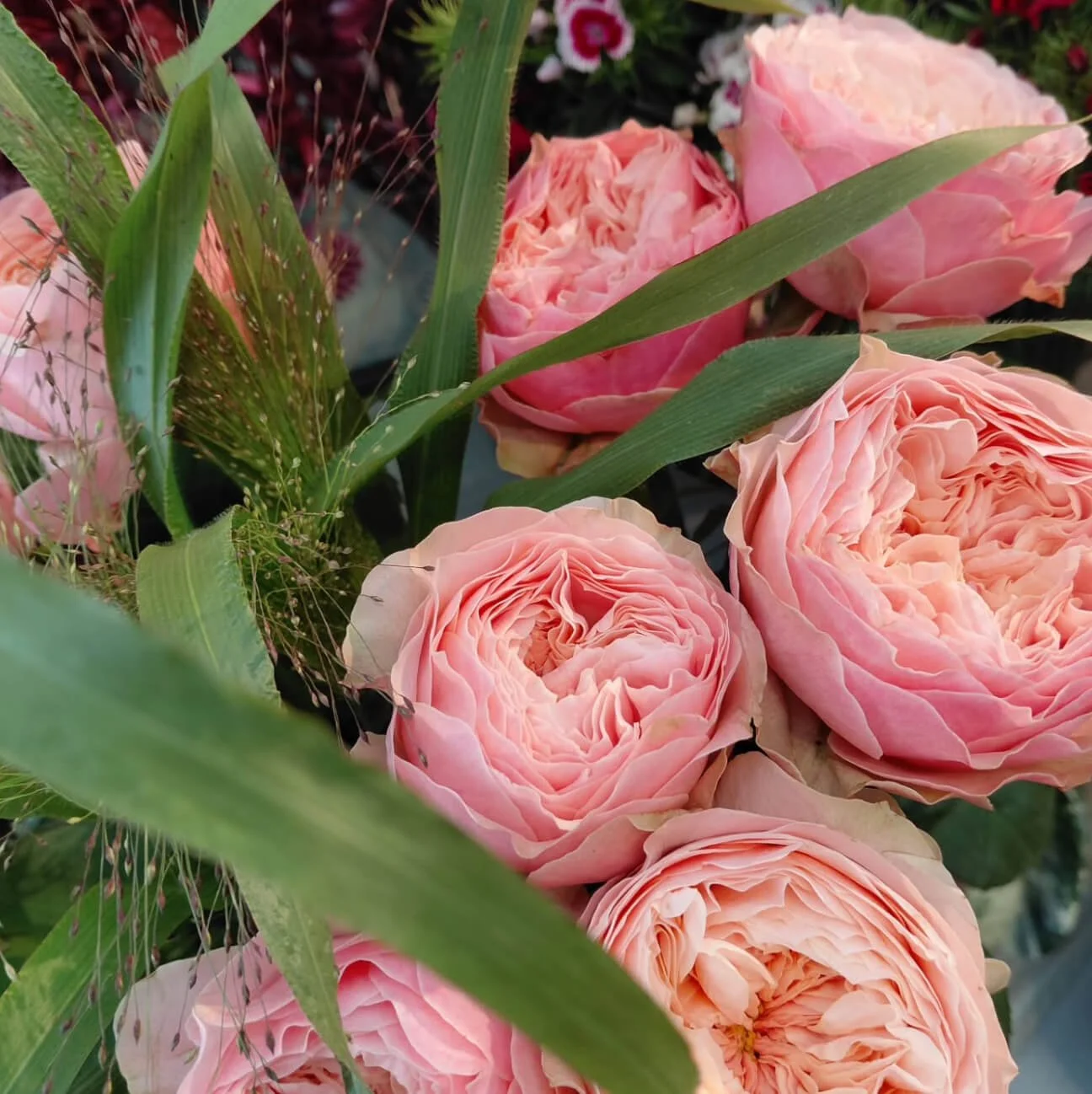 das-blumenmaedchen-wien-doebling-instagram-7.jpg