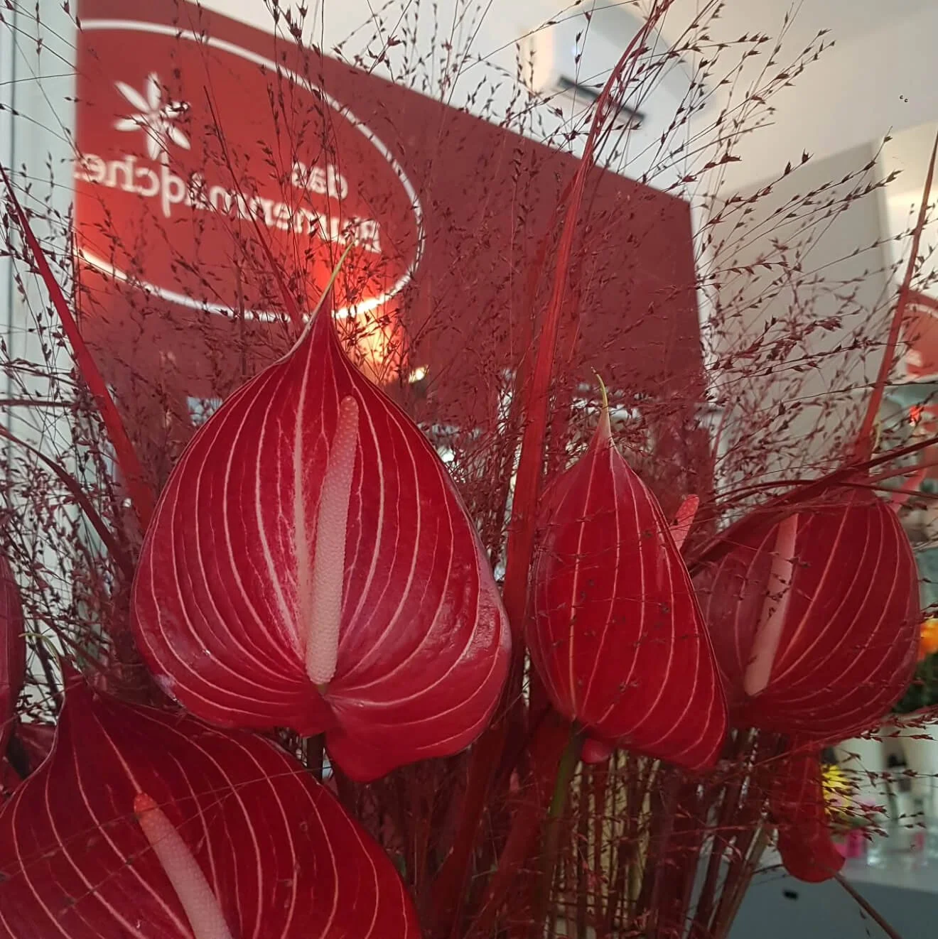 das-blumenmaedchen-wien-doebling-instagram-11.jpg