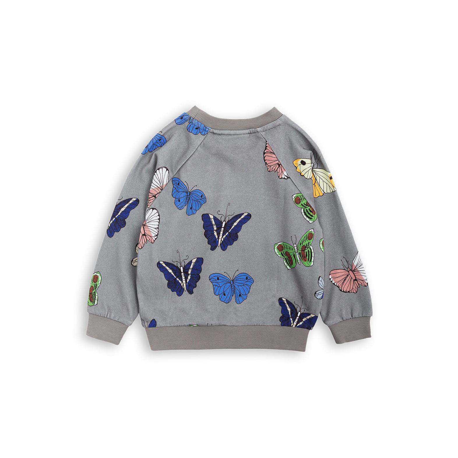 pull papillons 2.png