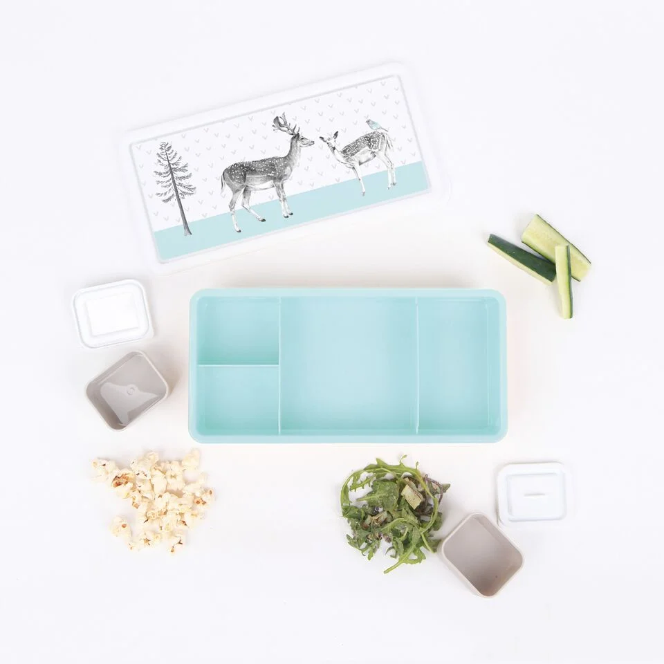 lunch box forêt.jpg