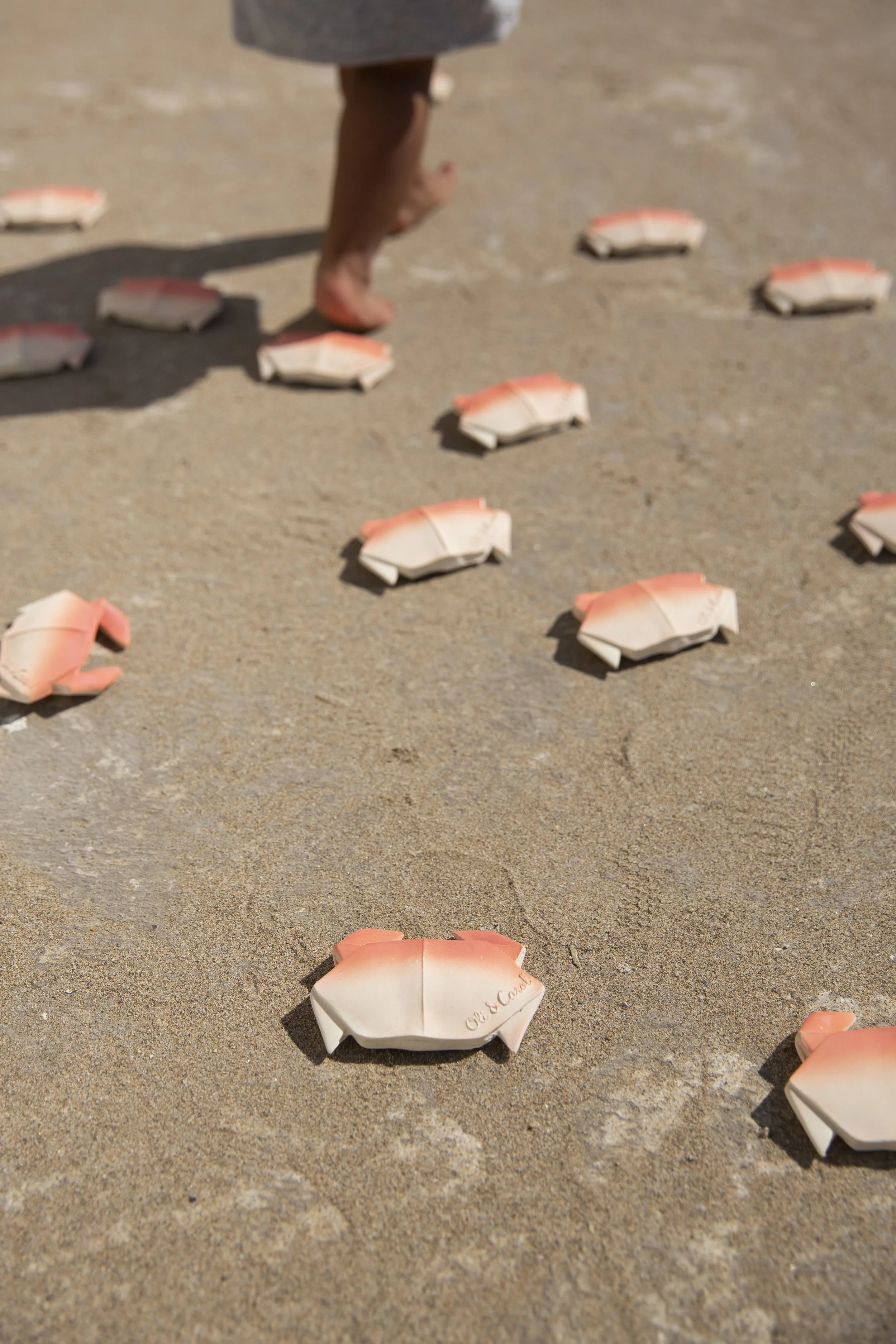 crabe2.jpg