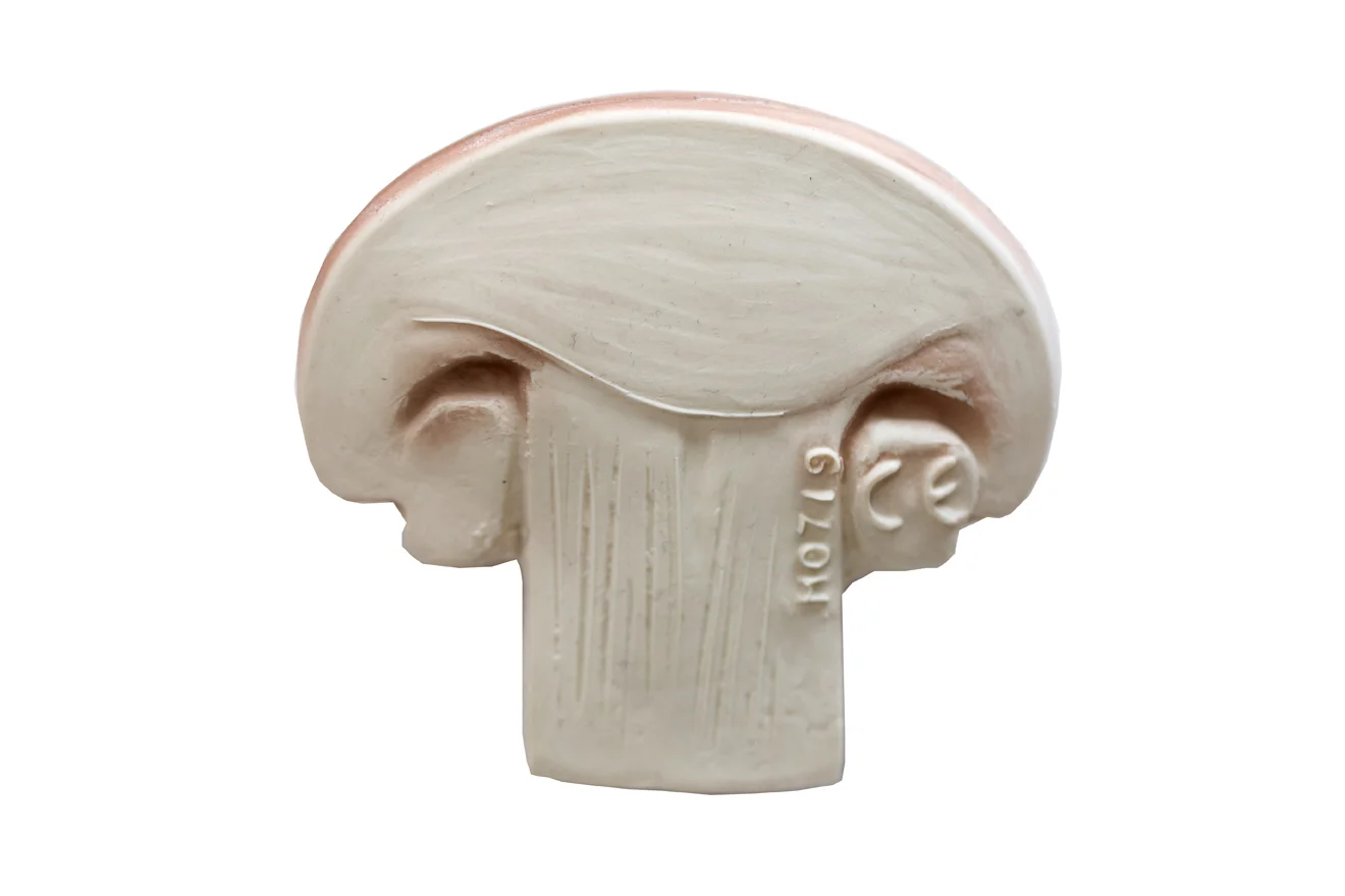 champignon detail.jpg