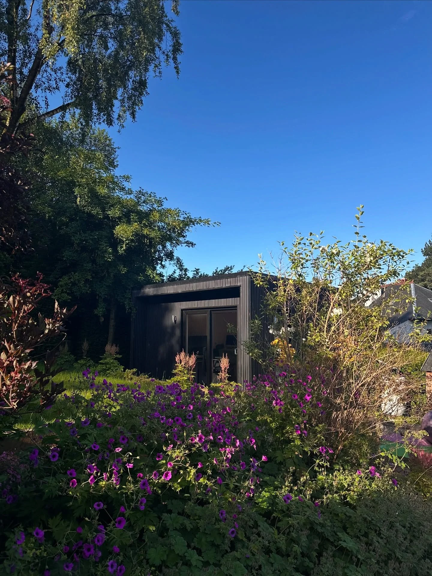 Gorgeous morning light from the other day 😻

#gardenstudio #gardenpod #mygardenthismonth #jewellerystudio