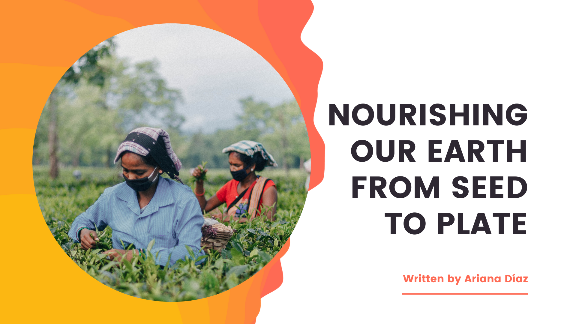 Nourishing Our Earth from Seed to Plate&nbsp;