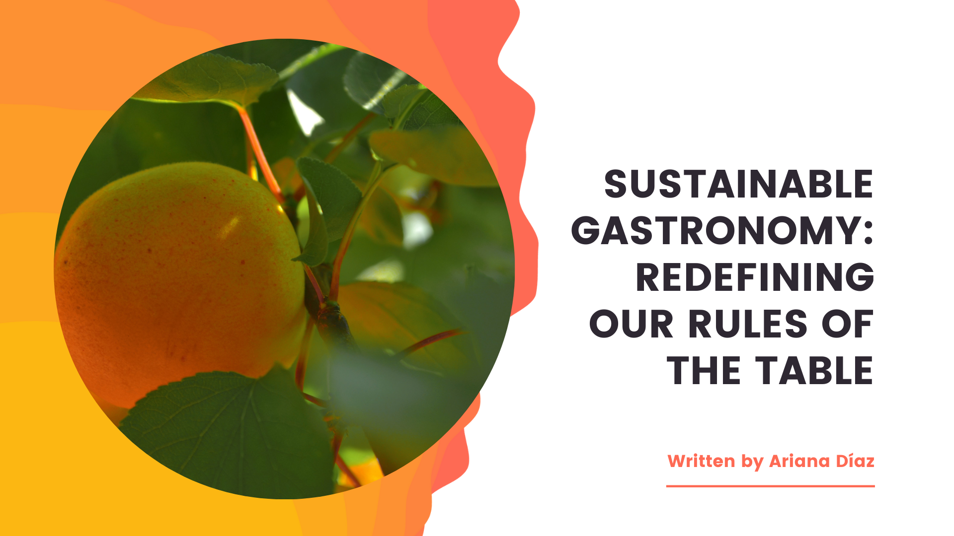 Sustainable Gastronomy: Redefining our rules of the table