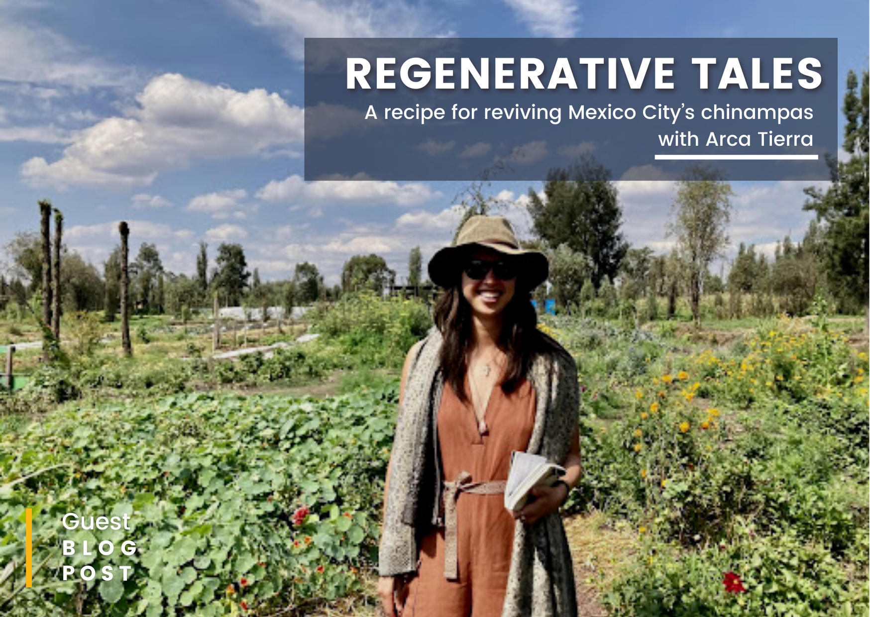 Regenerative tales: A recipe for reviving Mexico City’s chinampas with Arca Tierra
