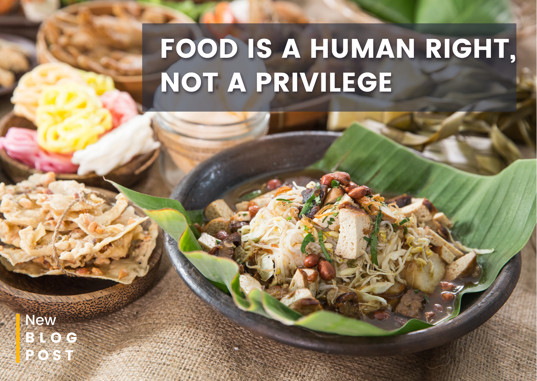 Food is a Human Right, Not a Privilege!