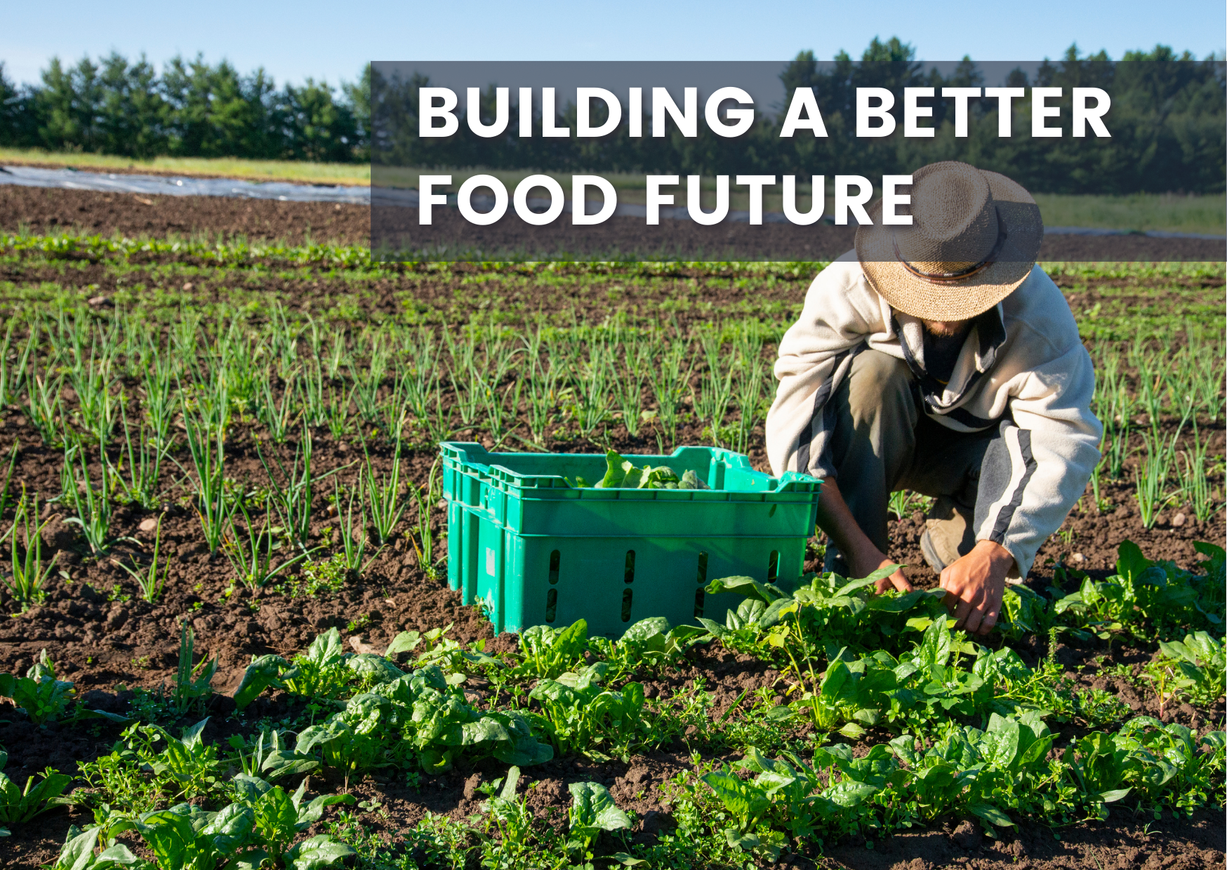 Building A Better Food Future With Sustainable Gastronomy