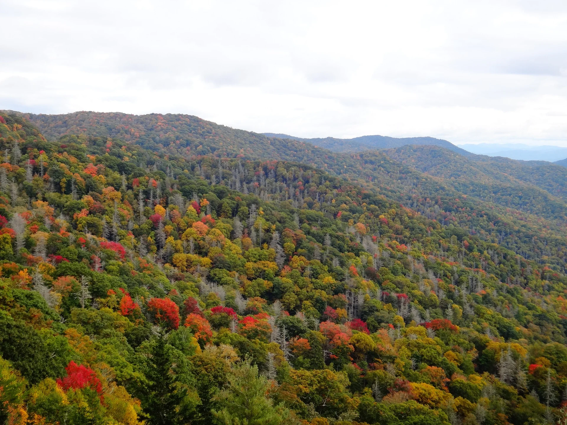 indian-summer-2357923_1920.jpg