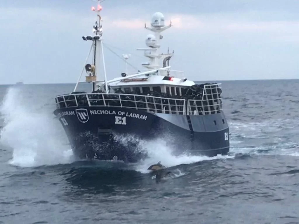 Nichola of Ladram joins South-West fleet