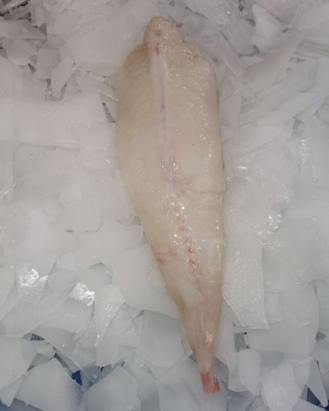 Mini-Monkfish Tails &ndash; Only &pound;2 (this weekend only)

The subtle, delicious flavour will deepen during cooking, thanks to the central bone, which will also help to keep the fish in one piece.

#monkfish #fish #freshfish #monkfishtails #minim