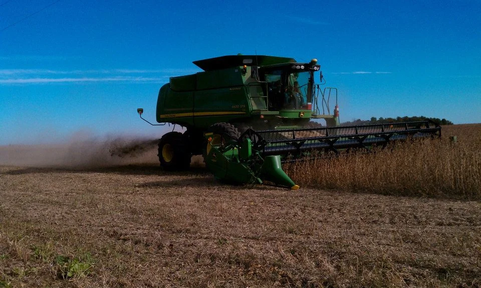combine soybeans.jpg
