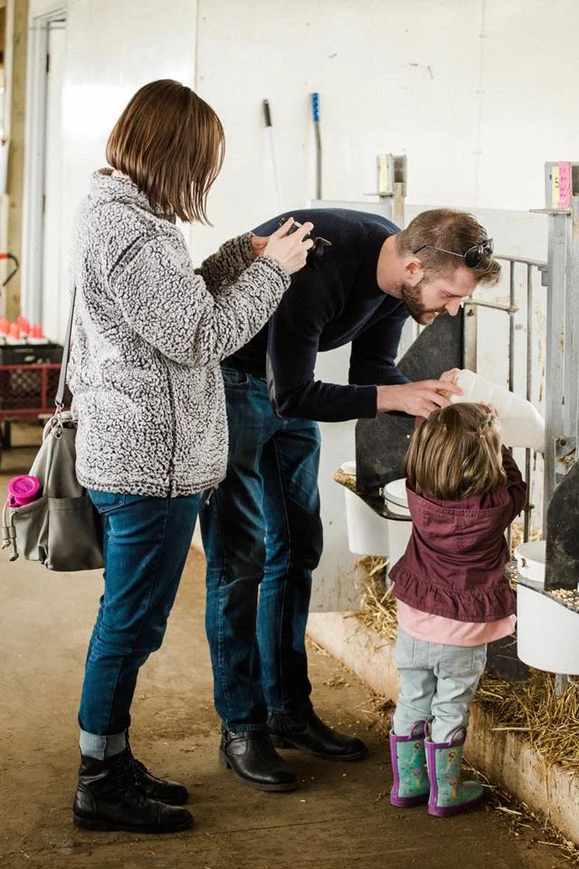 feeding calf.jpg