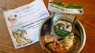 Dog grooming session and dog dish from Clarksville Feed Store