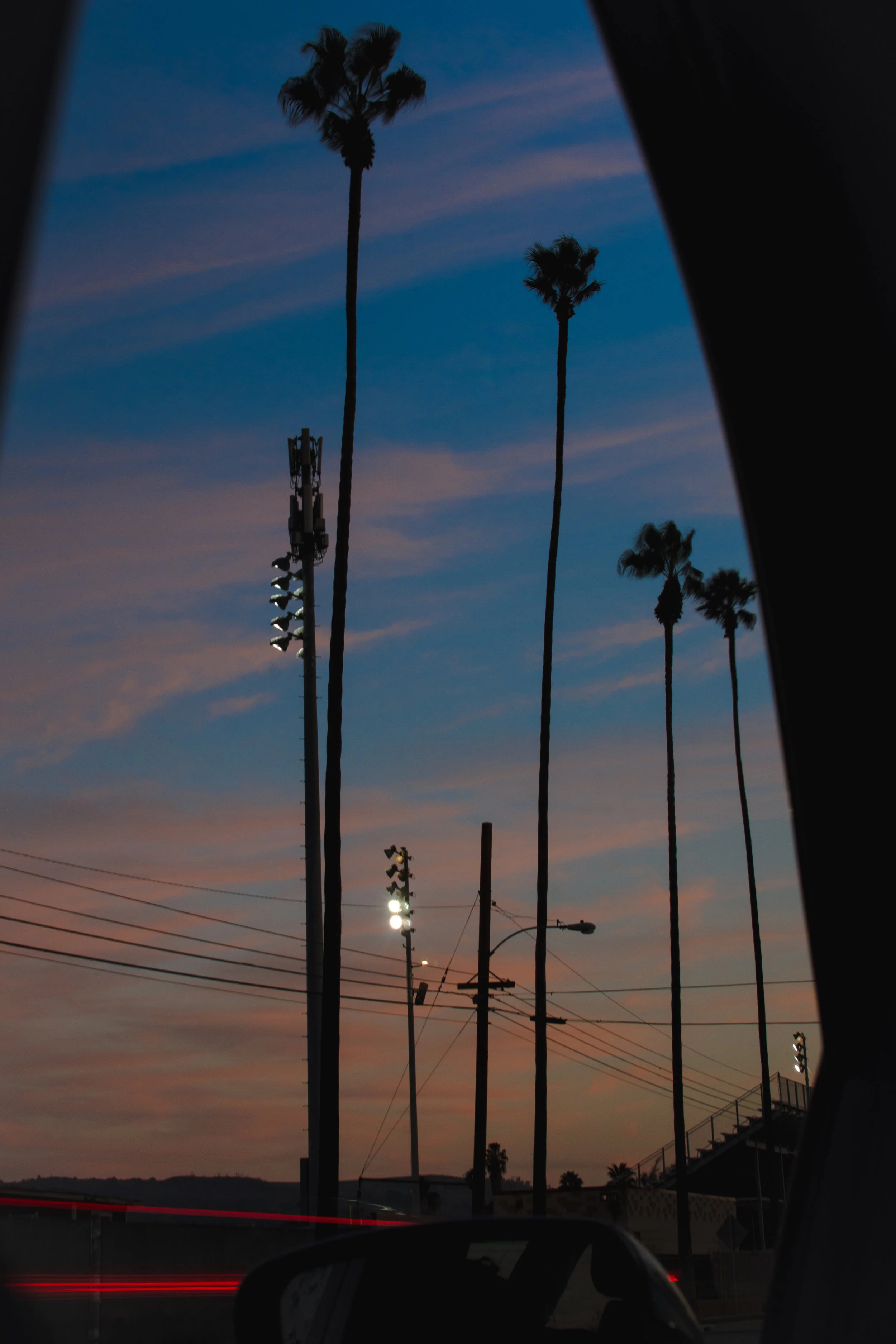 Covina Palms Sunset-2.jpg
