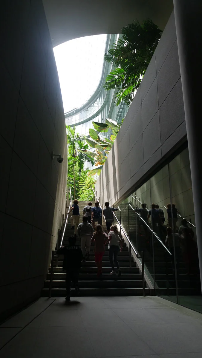 P1011461.jpg
