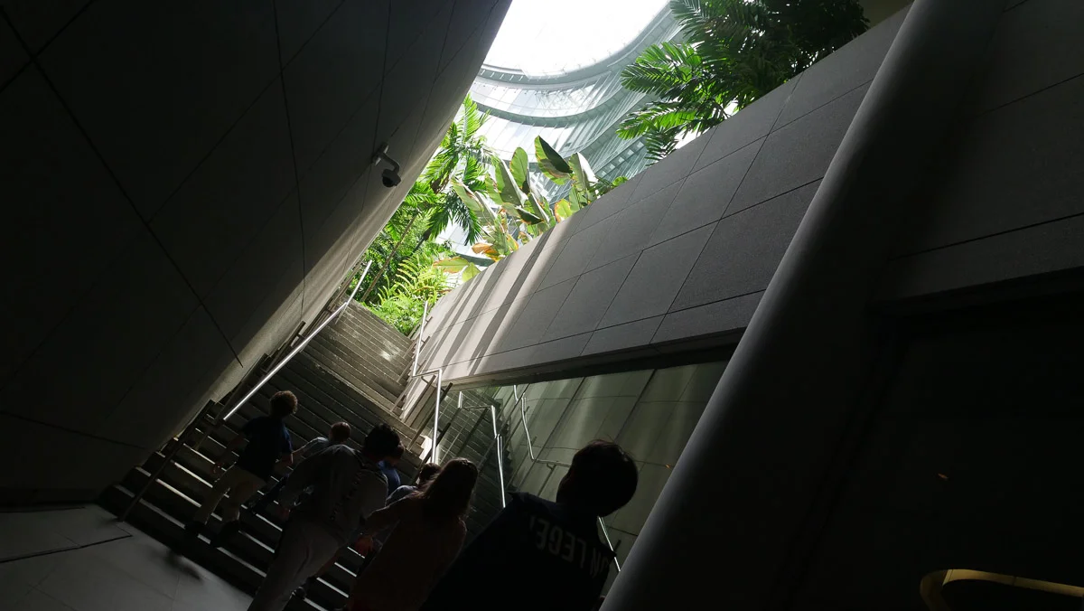 P1011459.jpg