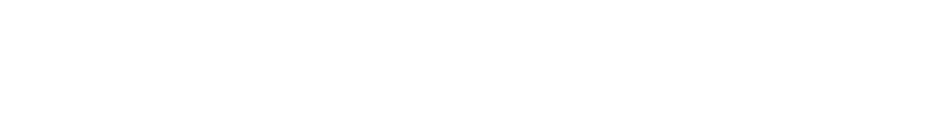 aayff+partners_site_19.png