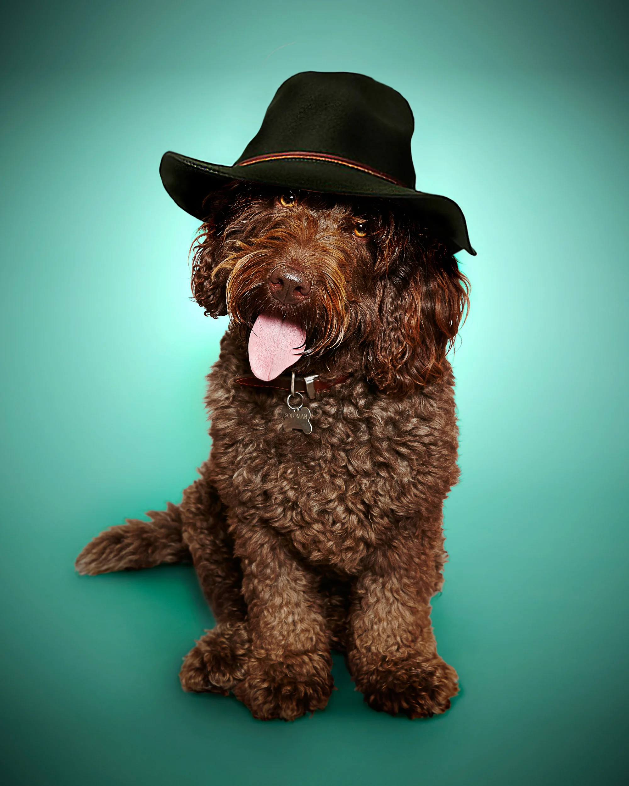 Chester-fedora.jpg
