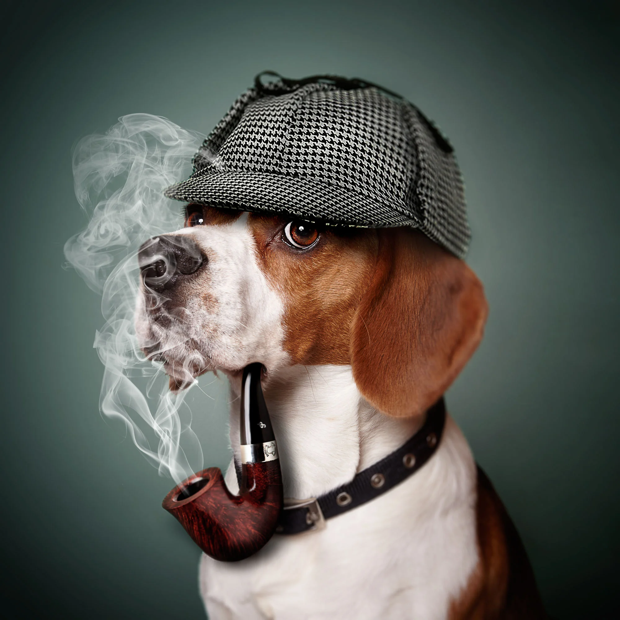 Rudy-Holmes-1.jpg