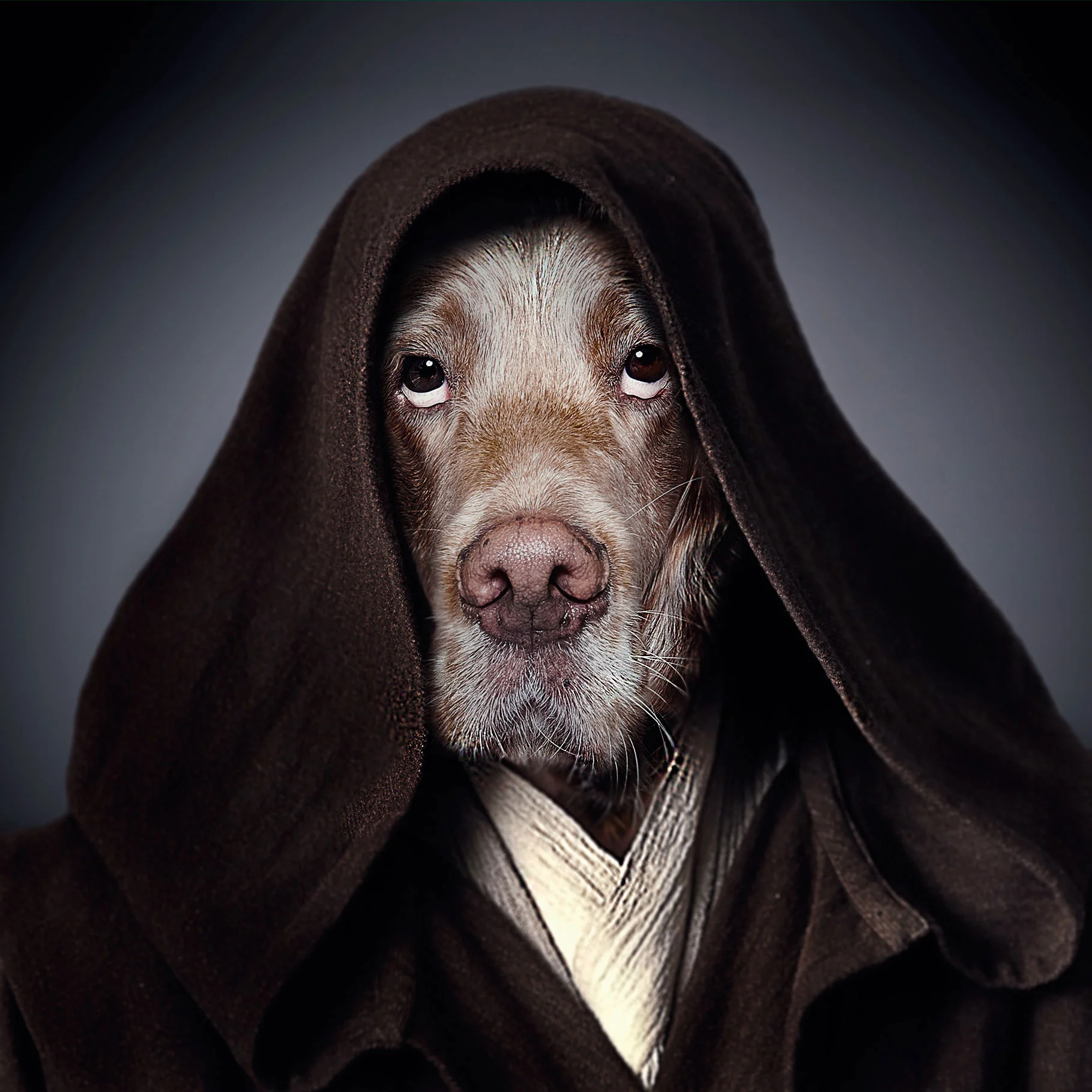 Toby-Wan-Kenobi-2.jpg