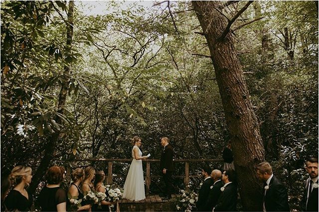 That one time we ventured out into the #pisgahnationalforest and had the most magical creekside wedding (party of 17 😍) before heading to @haiku_i_do for a beautiful reception in Asheville.... // Everyone here threw off their shoes, hiked up their d