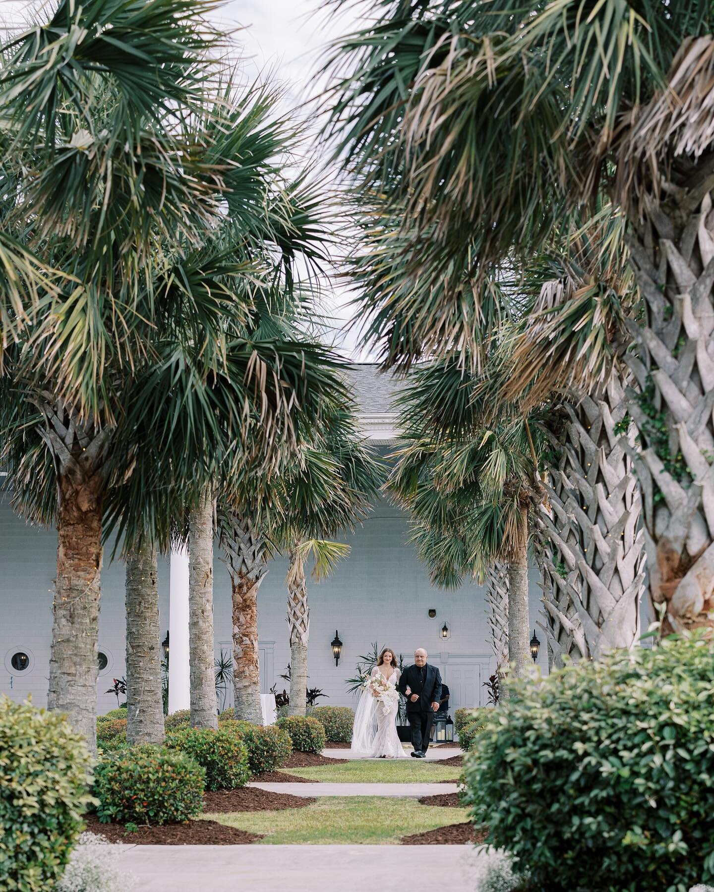 The longest palm aisle, a poolside dinner, and seaside portraits - here&rsquo;s to the dreamiest day 👏🏻

Jade and Maverick were such an incredible couple to design for, we can&rsquo;t help but reminisce as beach season begins. We&rsquo;re channelin