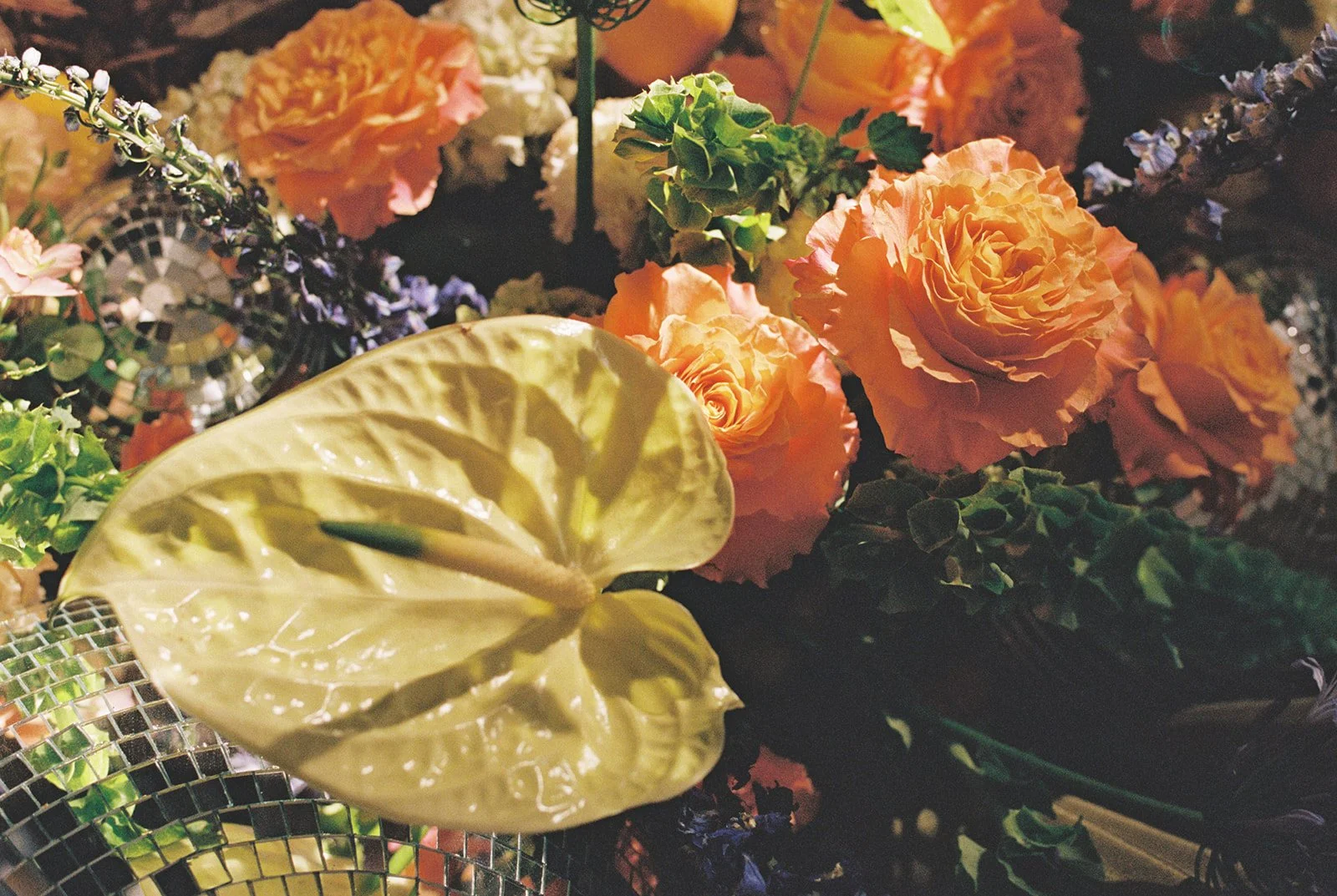 SofiaHenry_RadianPhotography-553.jpg