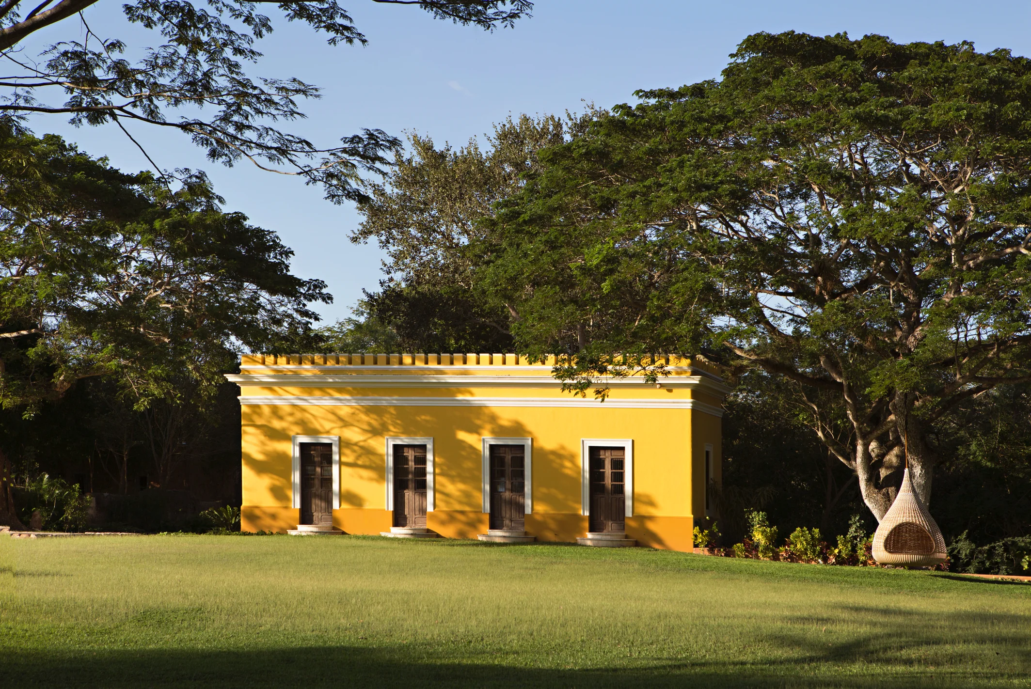 yellow.jpg