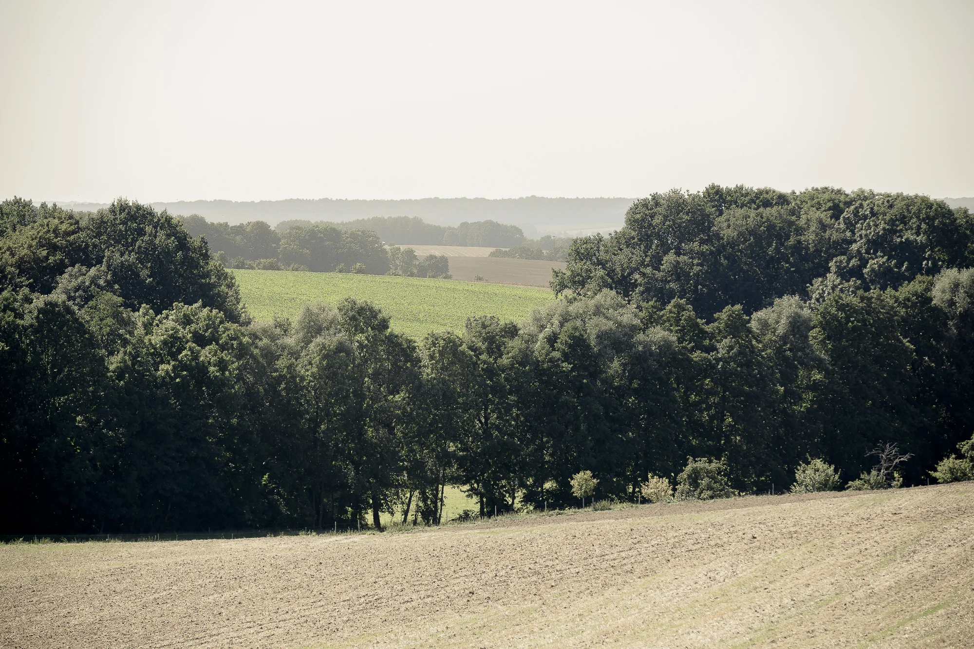 538voigt_227_pastellsatt.jpg