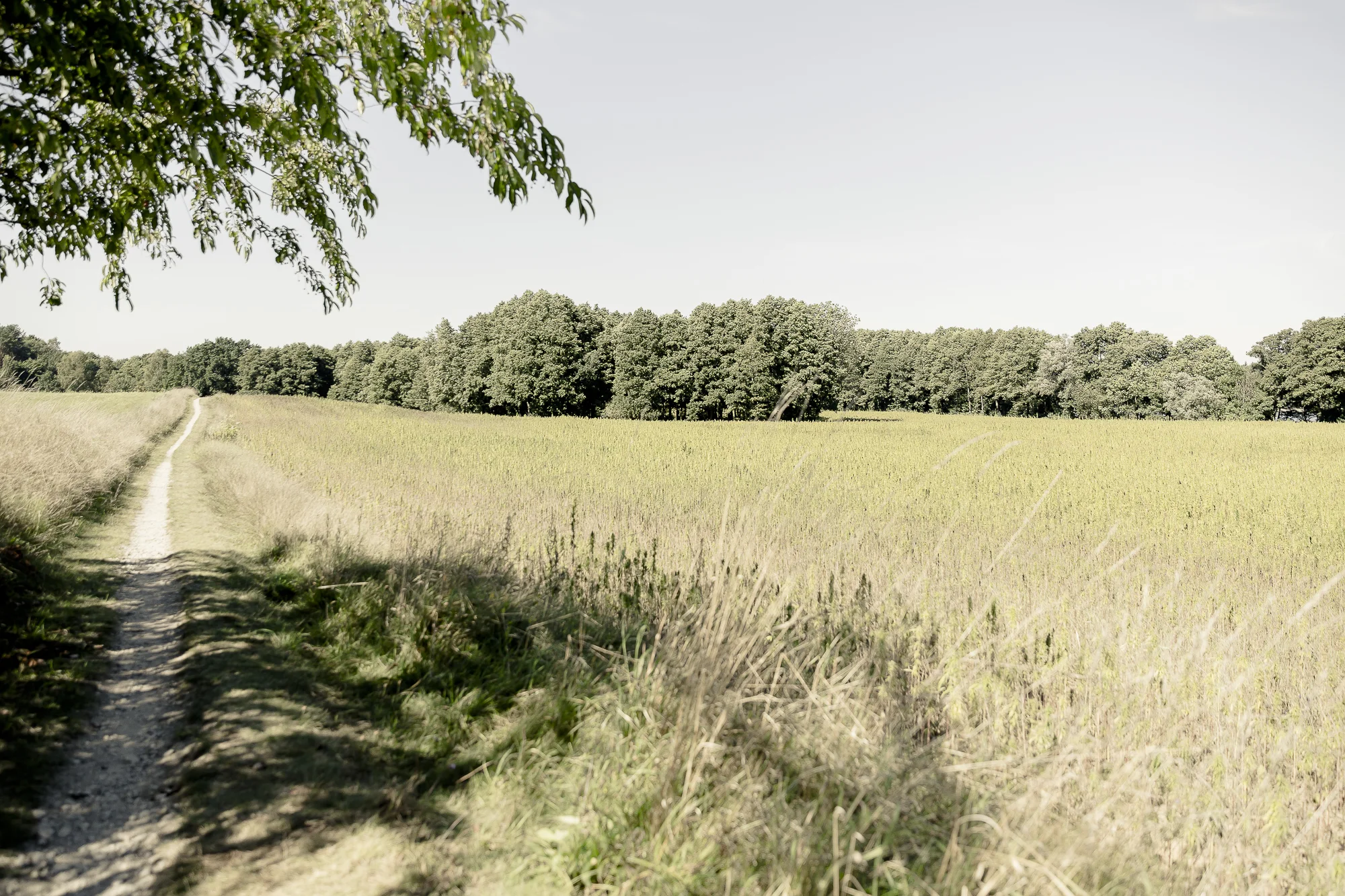 553bio-ranch_168_pastellsatt.jpg