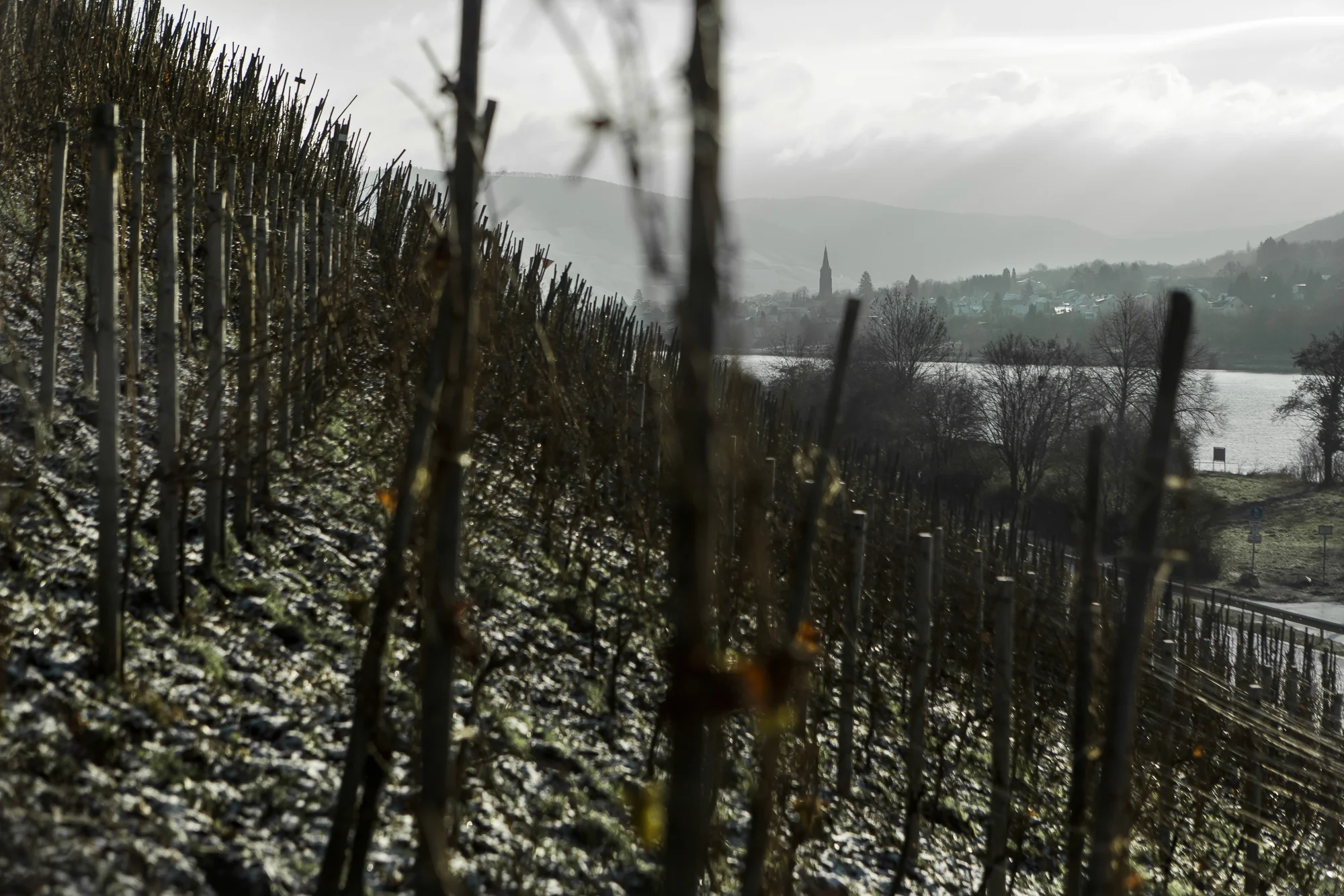 840_weinlese_073_II.jpg