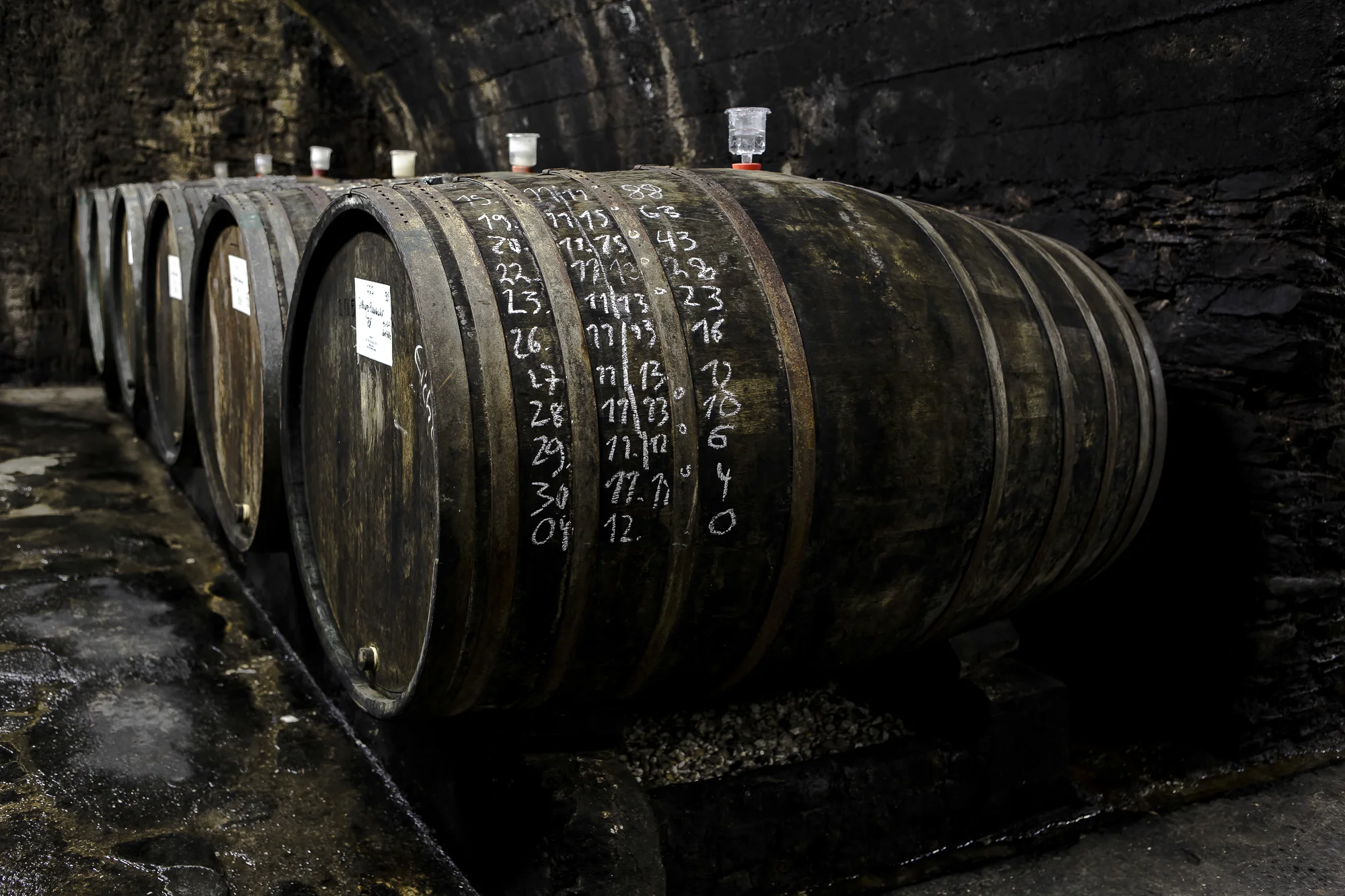 840_weinlese_383_II.jpg