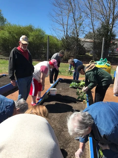 Master Gardener Ron Plaster, oversees our first spring planting in our Senior Community Garden.