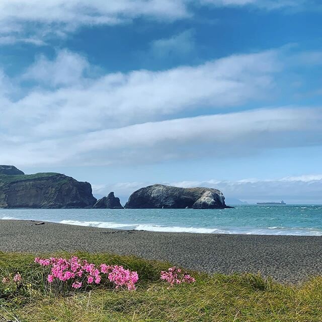 I can&rsquo;t wait to bring yoga hikes back to Rodeo Beach in just a few weeks! 🌸 Grab your ticket for 7/11, 7/18, or 7/25 at the link in my bio - spots are limited and they&rsquo;re going fast! ✌🏼