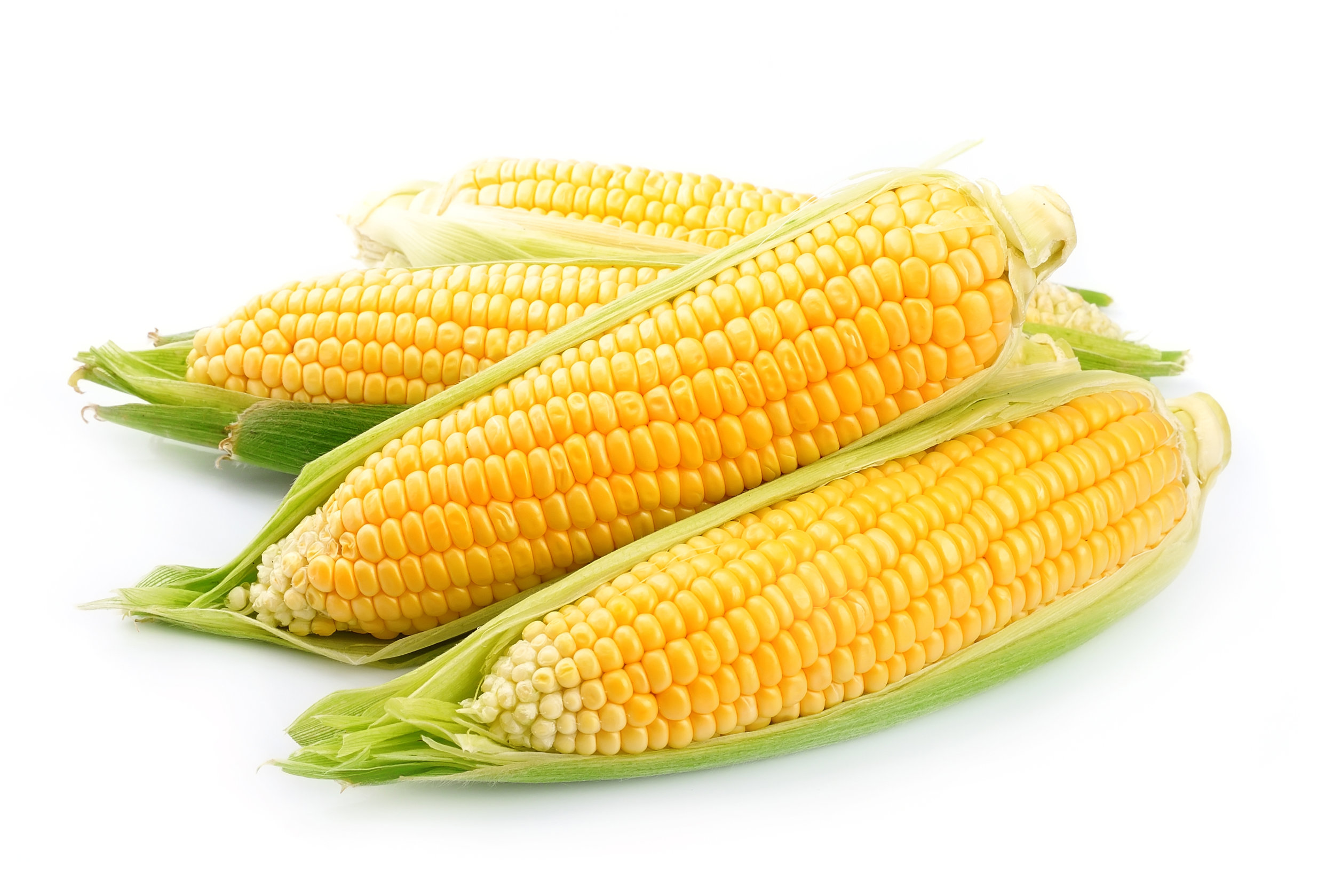 AdobeStock_54023537.jpeg