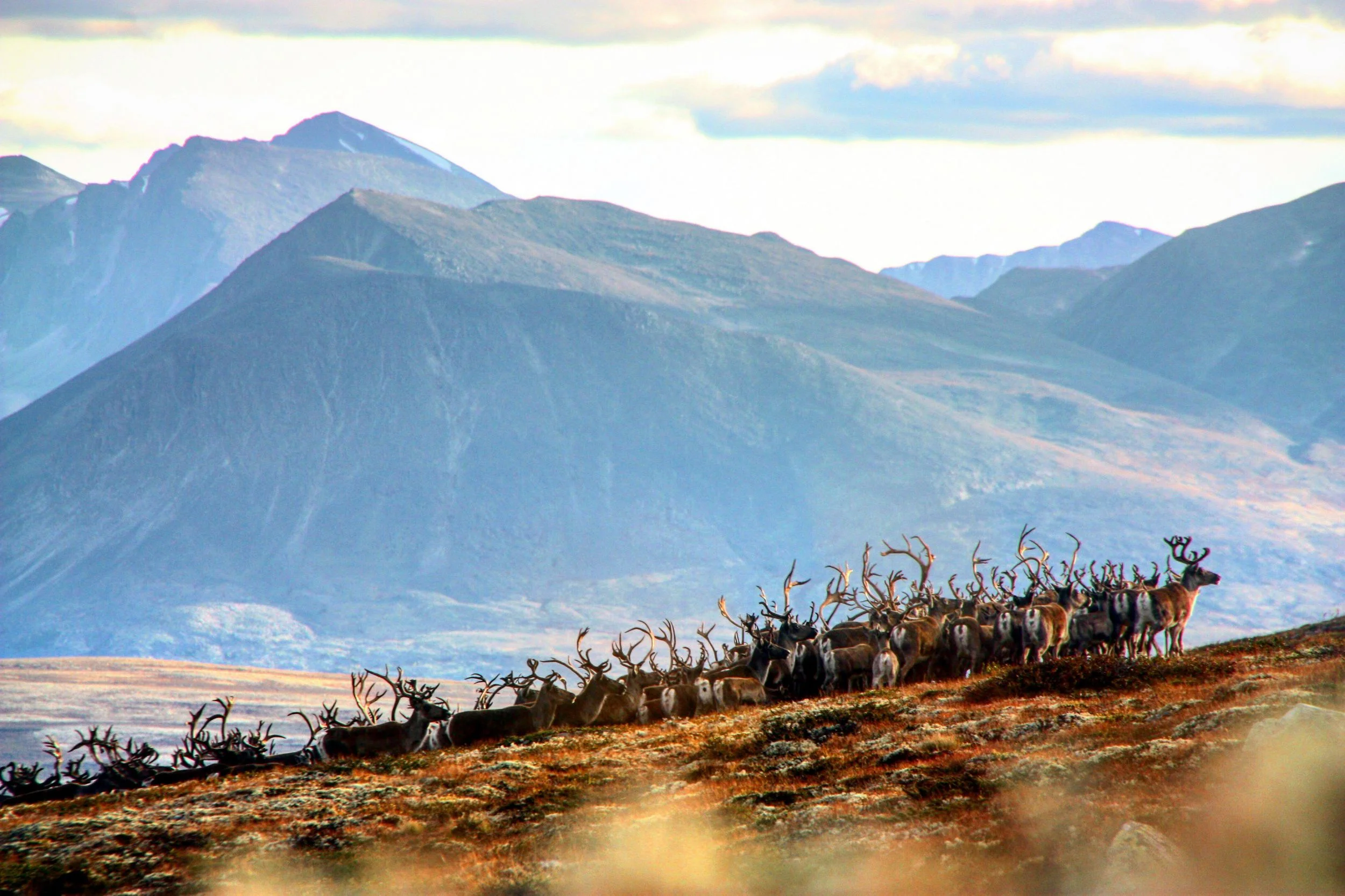 Klar for ny jaktsesong?