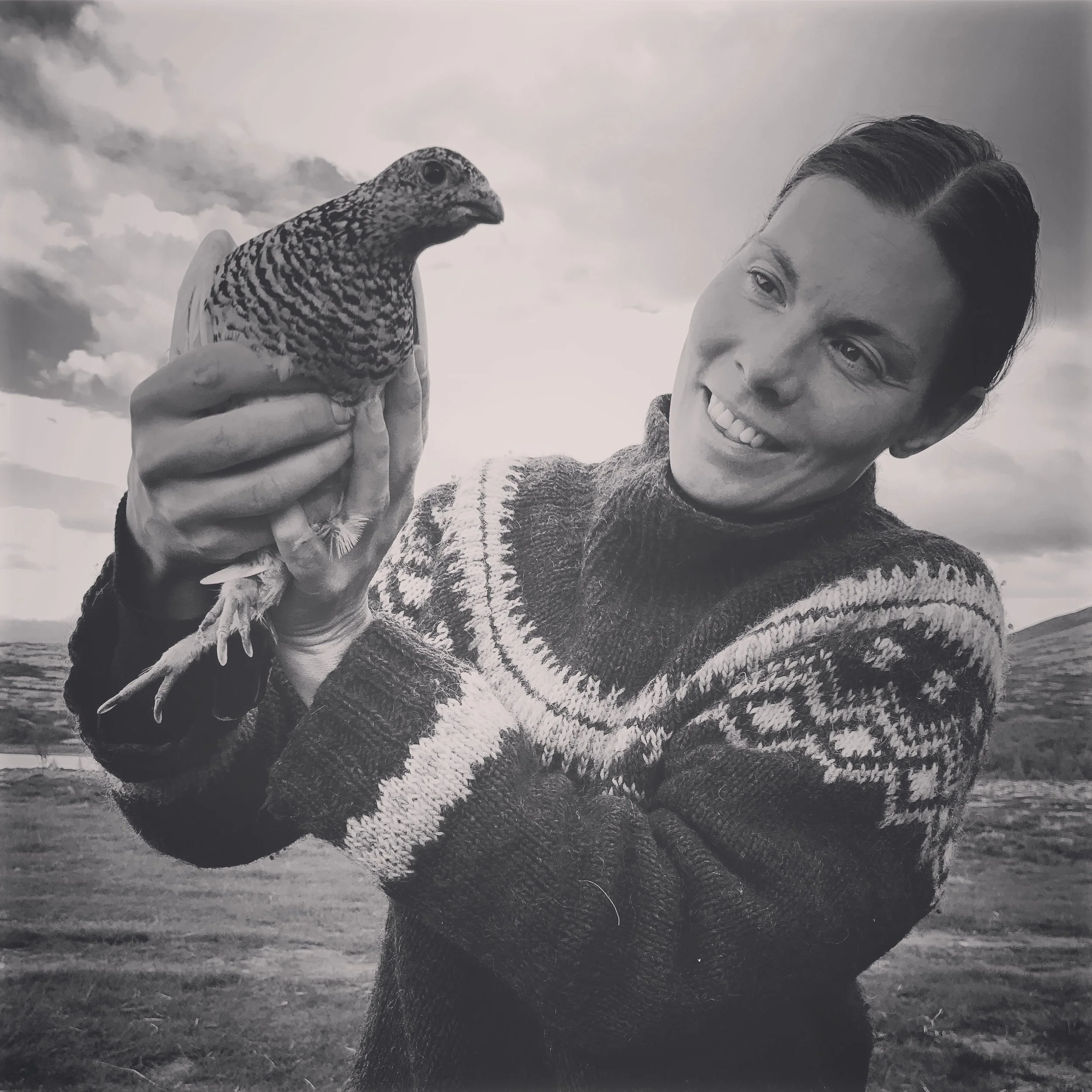 Tildeling av småviltjakt 2018